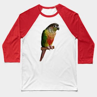 Green cheek Conure Parrot Bird Parakeet for women and men Baseball T-Shirt